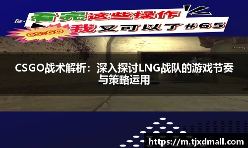CSGO战术解析：深入探讨LNG战队的游戏节奏与策略运用
