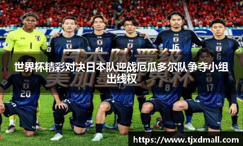 77体育电脑版