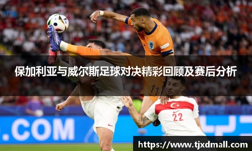 保加利亚与威尔斯足球对决精彩回顾及赛后分析