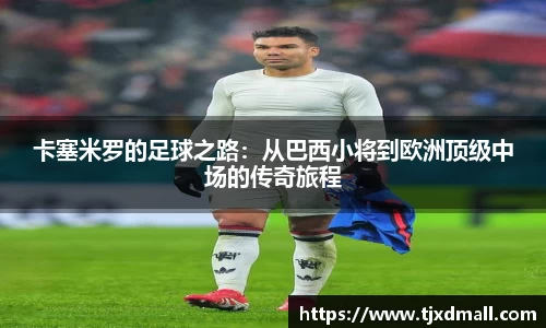 77体育电脑版