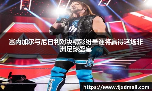 塞内加尔与尼日利对决精彩纷呈谁将赢得这场非洲足球盛宴